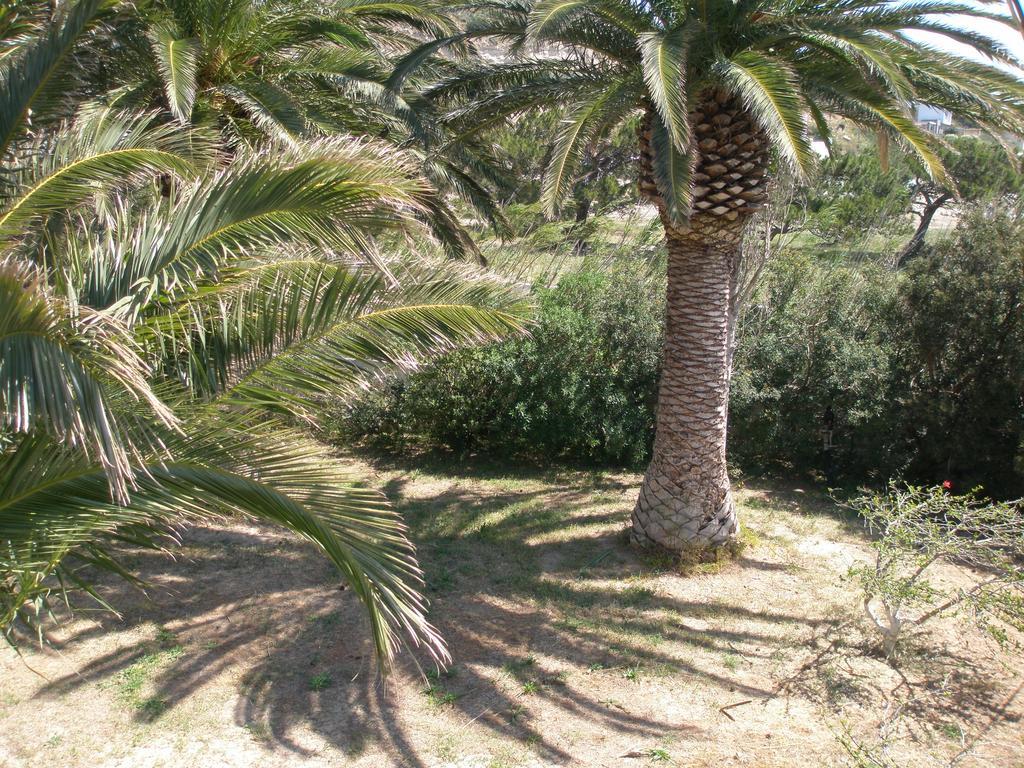 Aparthotel Avra Palm Ierápetra Exteriér fotografie