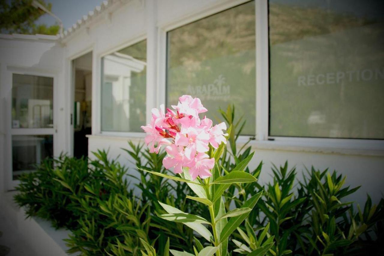 Aparthotel Avra Palm Ierápetra Exteriér fotografie