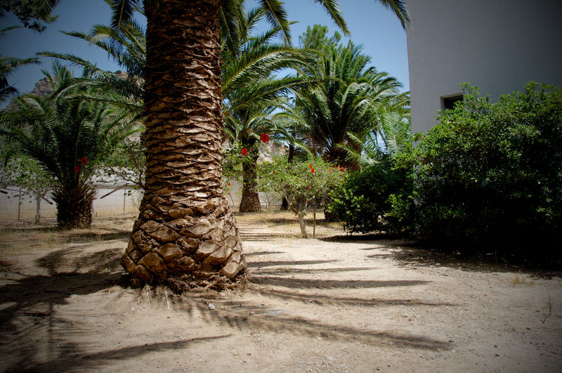 Aparthotel Avra Palm Ierápetra Exteriér fotografie